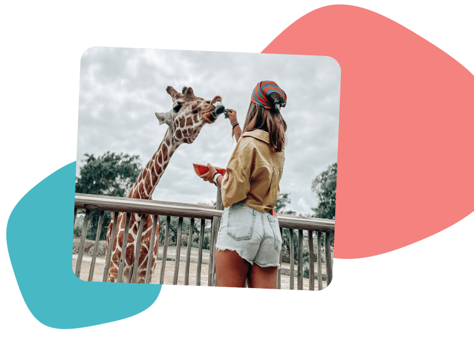 Explore more, learn more