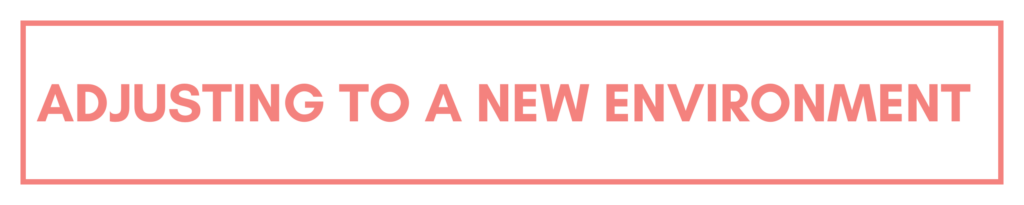 Maintaining a Healthy Lifestyle Banner 1
