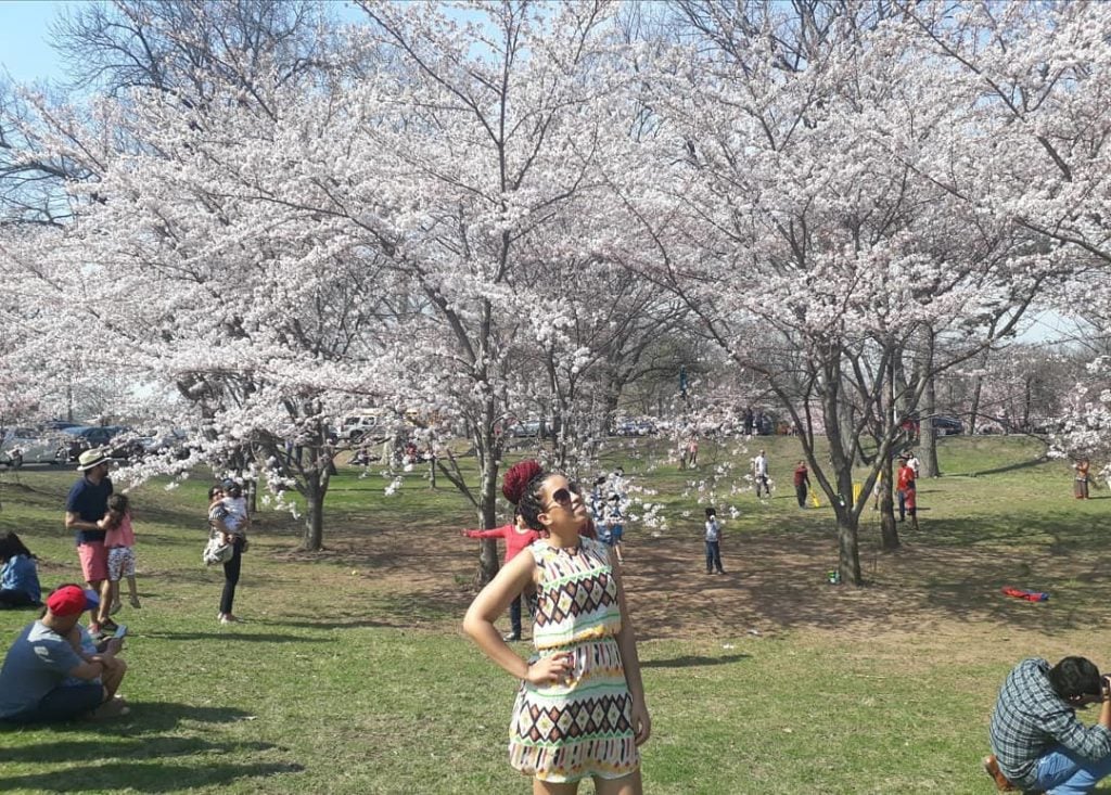 Spring blossom 