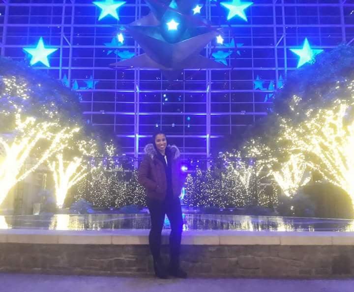 winter wonderland
